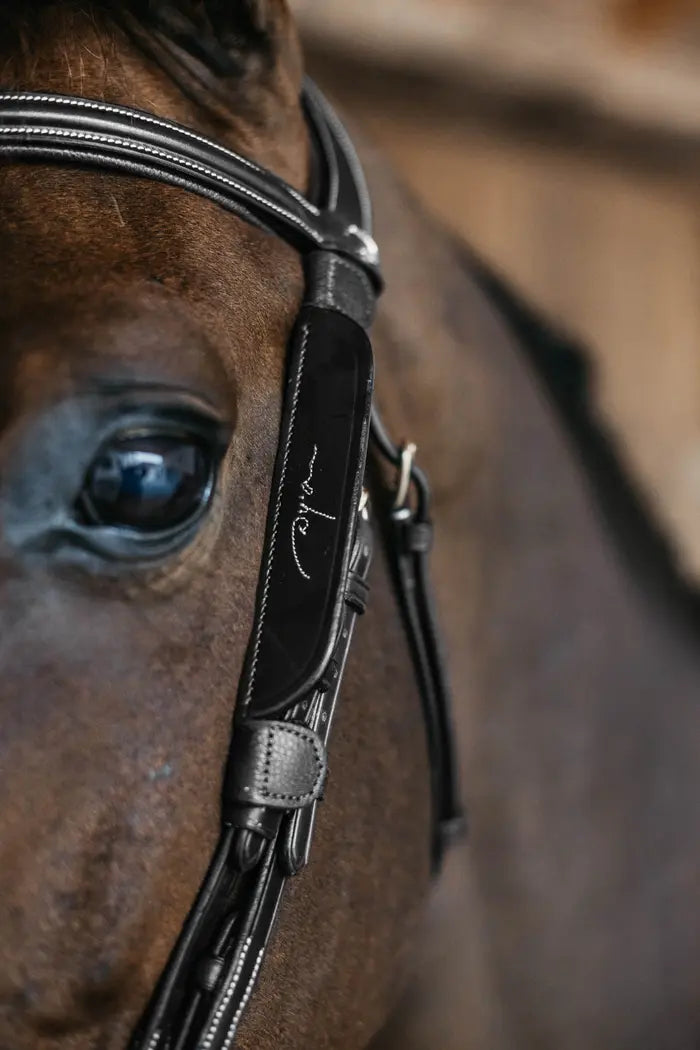 close up of blinker for horse