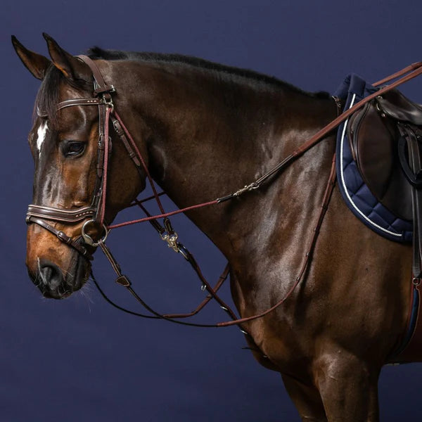 Brown horse with bridle and saddle on a dark blue background