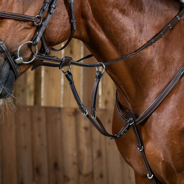 Close-up of a brown horse wearing a bridle with a wooden fence background