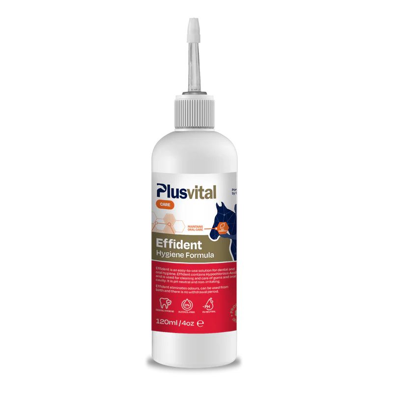 PlusVital Effident bottle on a white background