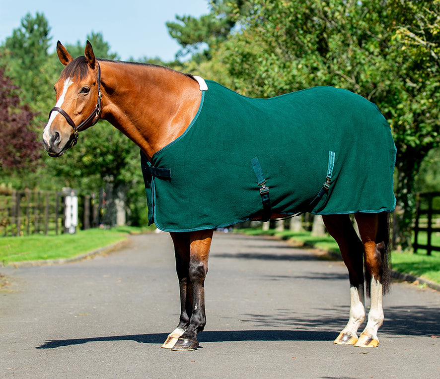 Horse standing in a grassy setting wearing a green fleece cooler