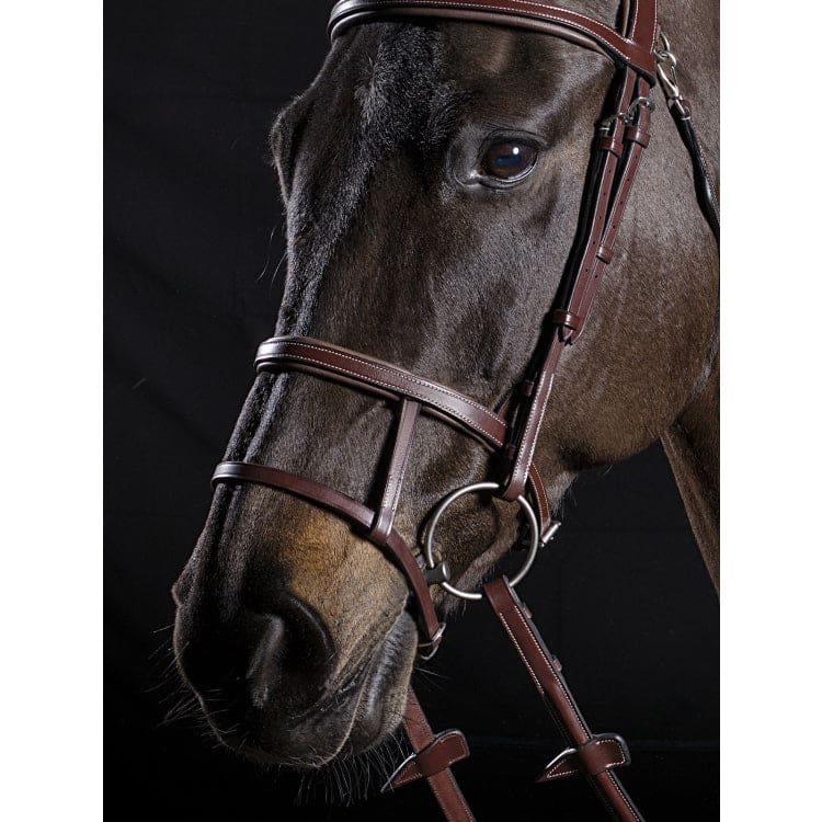 Boomerang Equestrian - Equiline Double Noseband NB0445 Brown