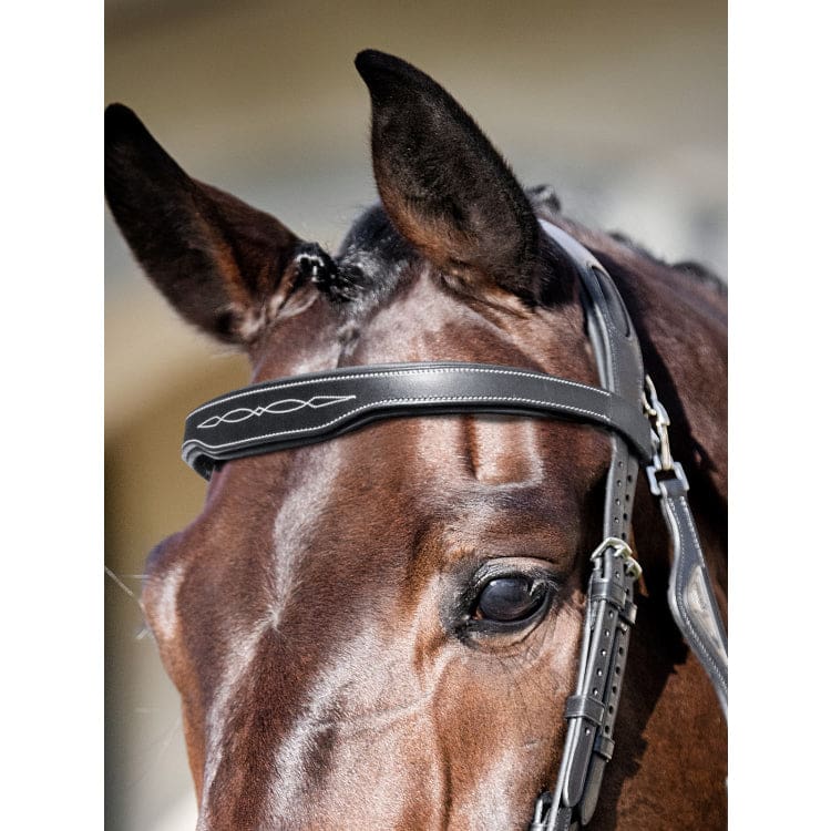 Boomerang Equestrian - Equiline Flat Browband BB0418 Shaped With Fancy Stitching Black