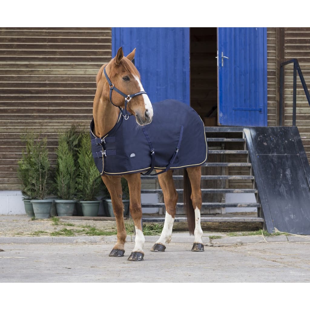 Boomerang Equestrian - Equitheme Chic Summer Sheet Navy/Gold