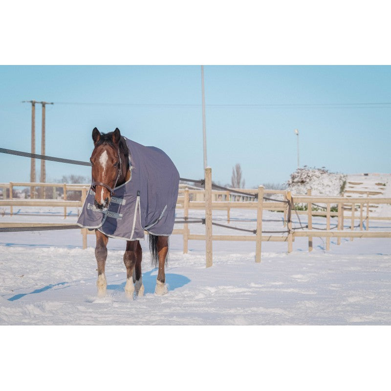 Horse wearing a blanket in a snowy paddock with a clear blue sky.