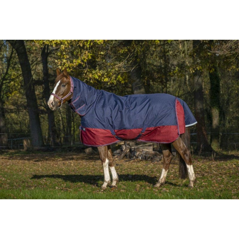 Boomerang Equestrian - Equitheme Tyrex 200 g Outdoor Rug With Full Neck Navy/Burgundy