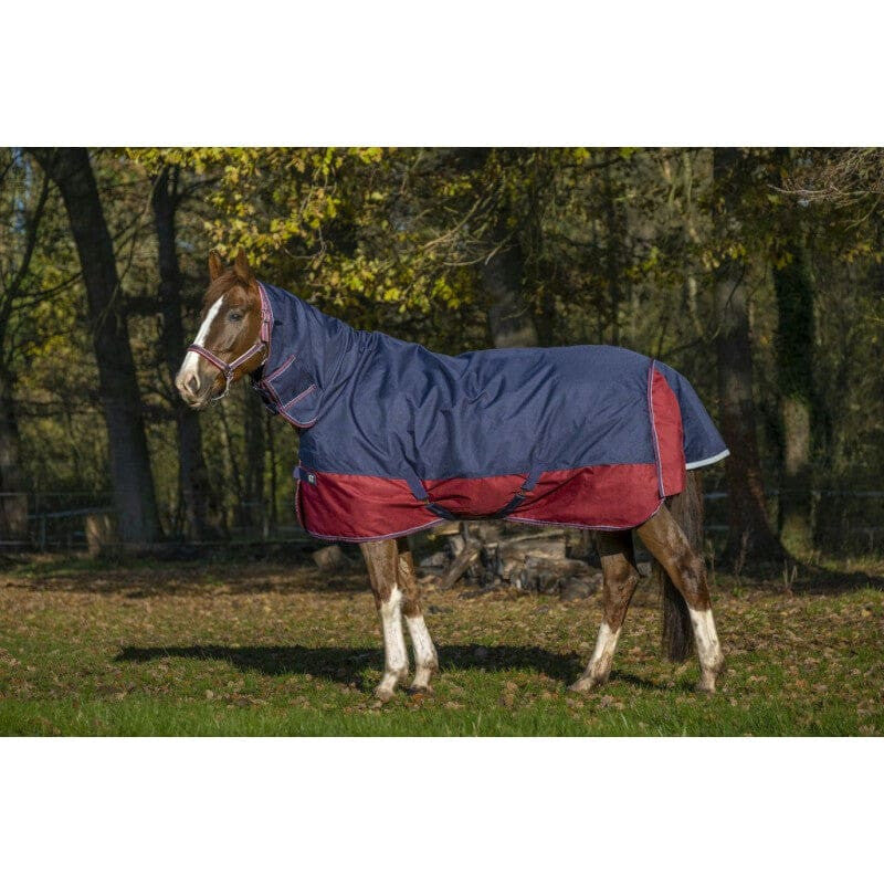 Boomerang Equestrian - Equitheme Tyrex 350 g Outdoor Rug With Full Neck Navy/Burgundy