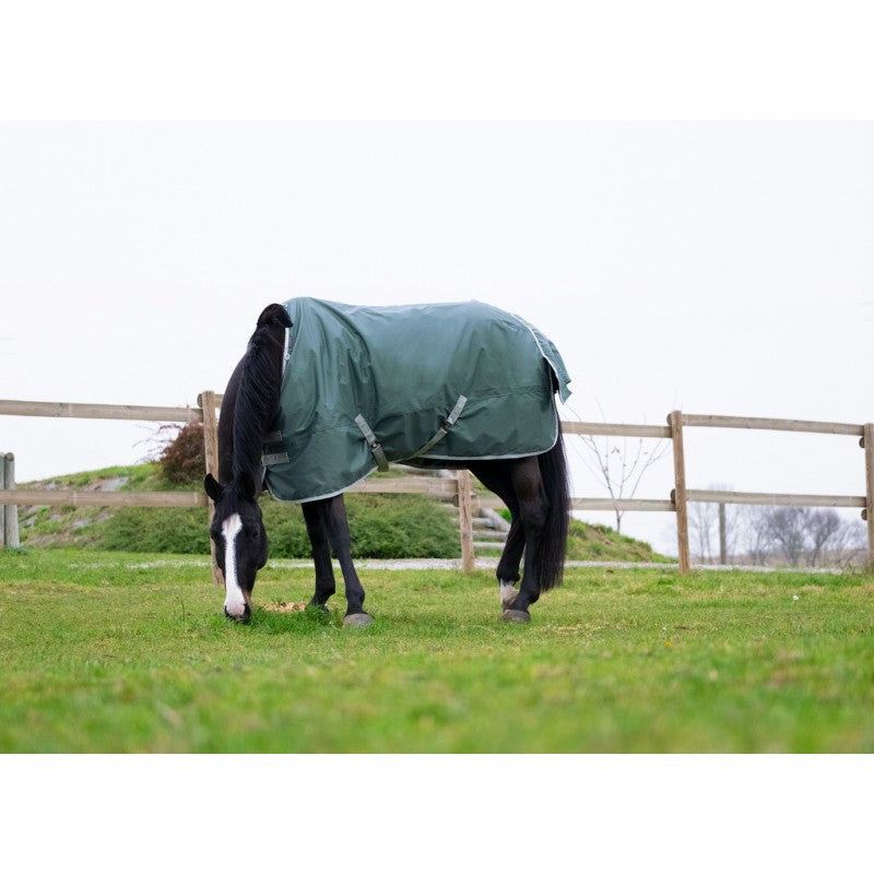 Boomerang Equestrian - Equitheme Tyrex 0g Turnout Rug Standard Neck Green