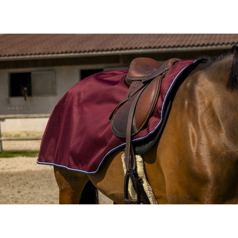 Burgundy exercise sheet on a horse.