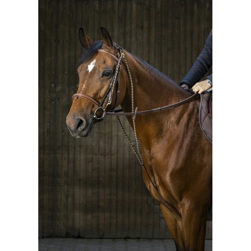 Boomerang Equestrian - Eric Thomas Chambon Brown