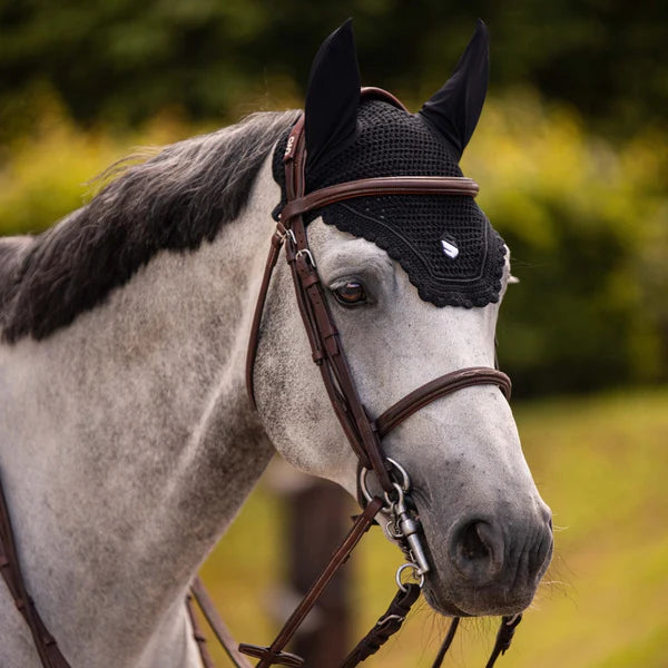 A black fly veil on a grey horse
