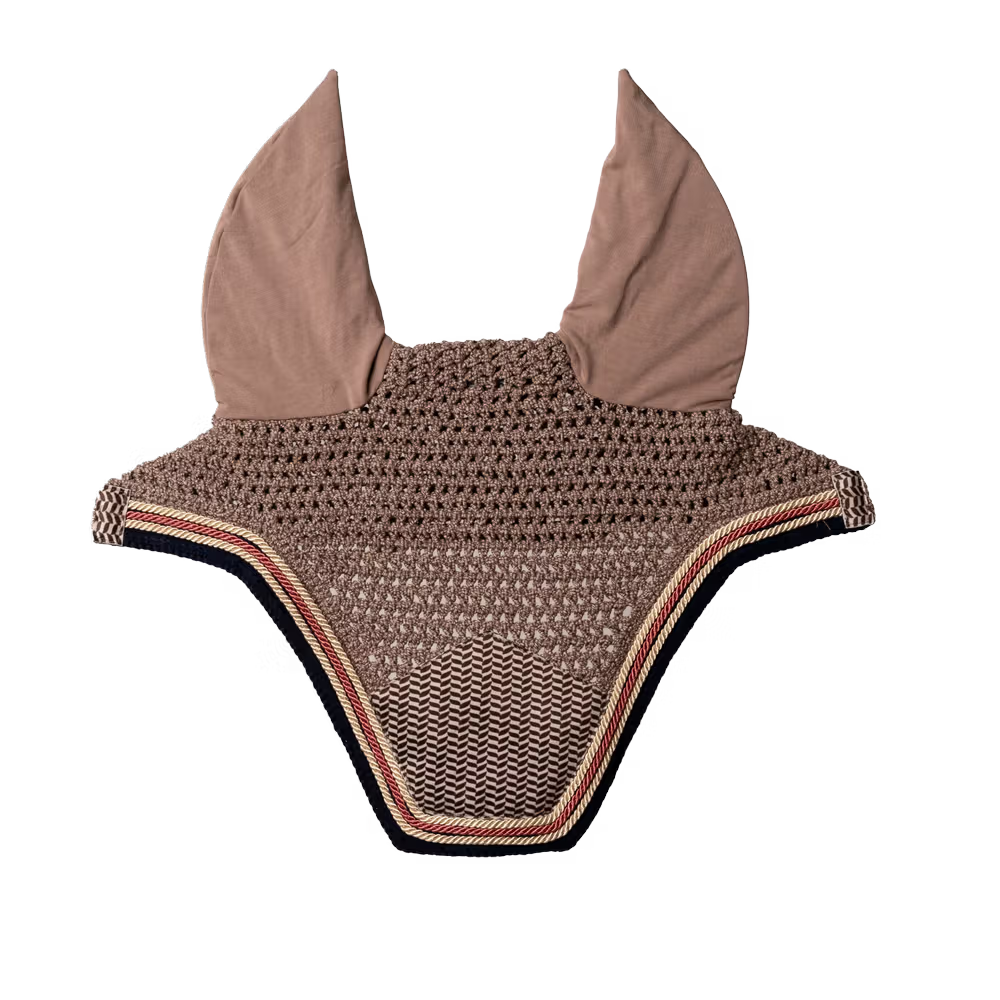 Fly veil on a transparent background