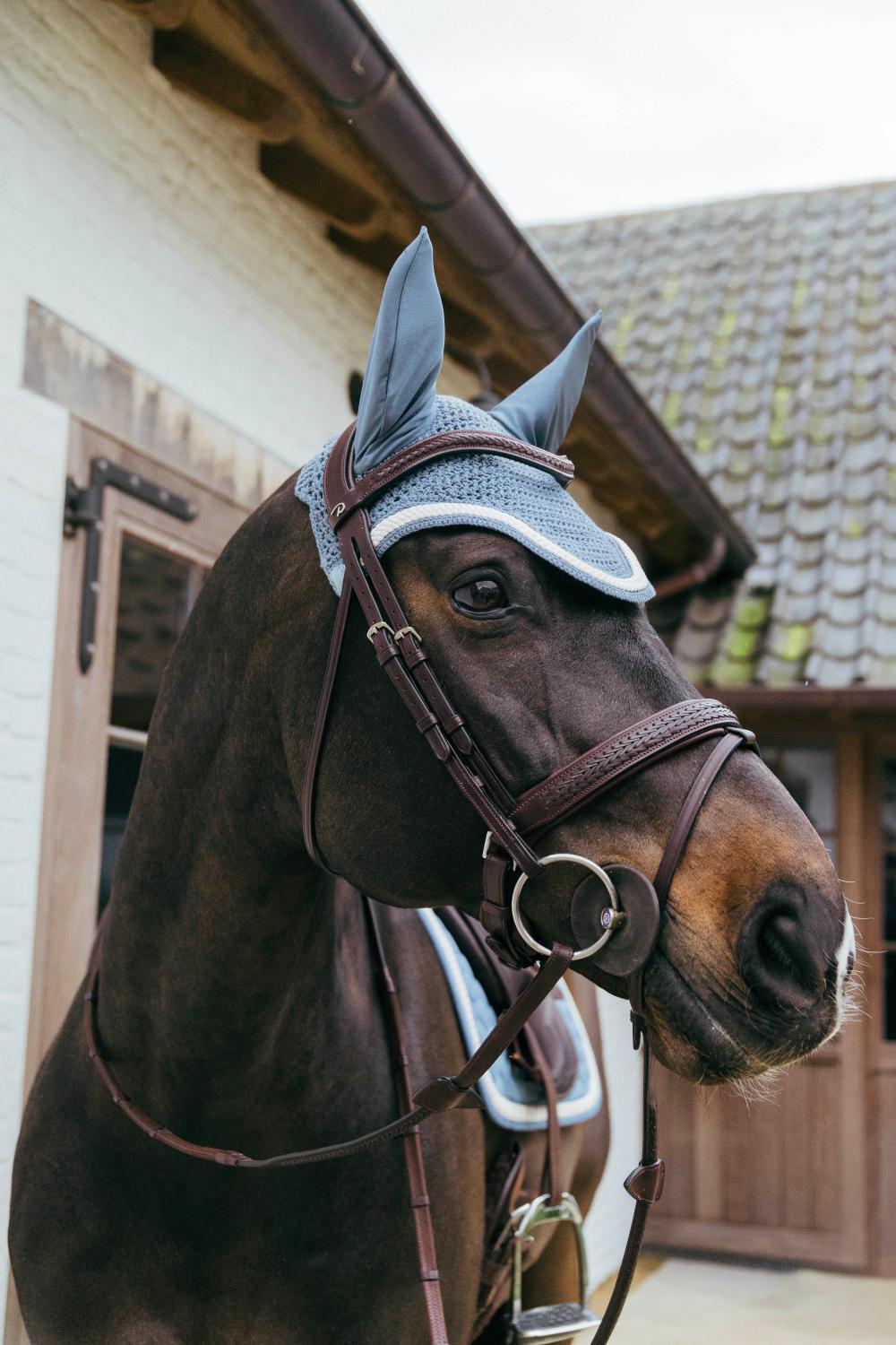 Horse wearing a bridle and fly mask in front of a stable.