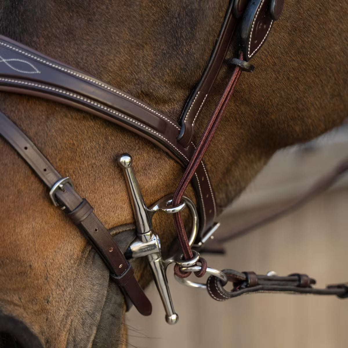 Close-up of a horse's bridle with a blurred background