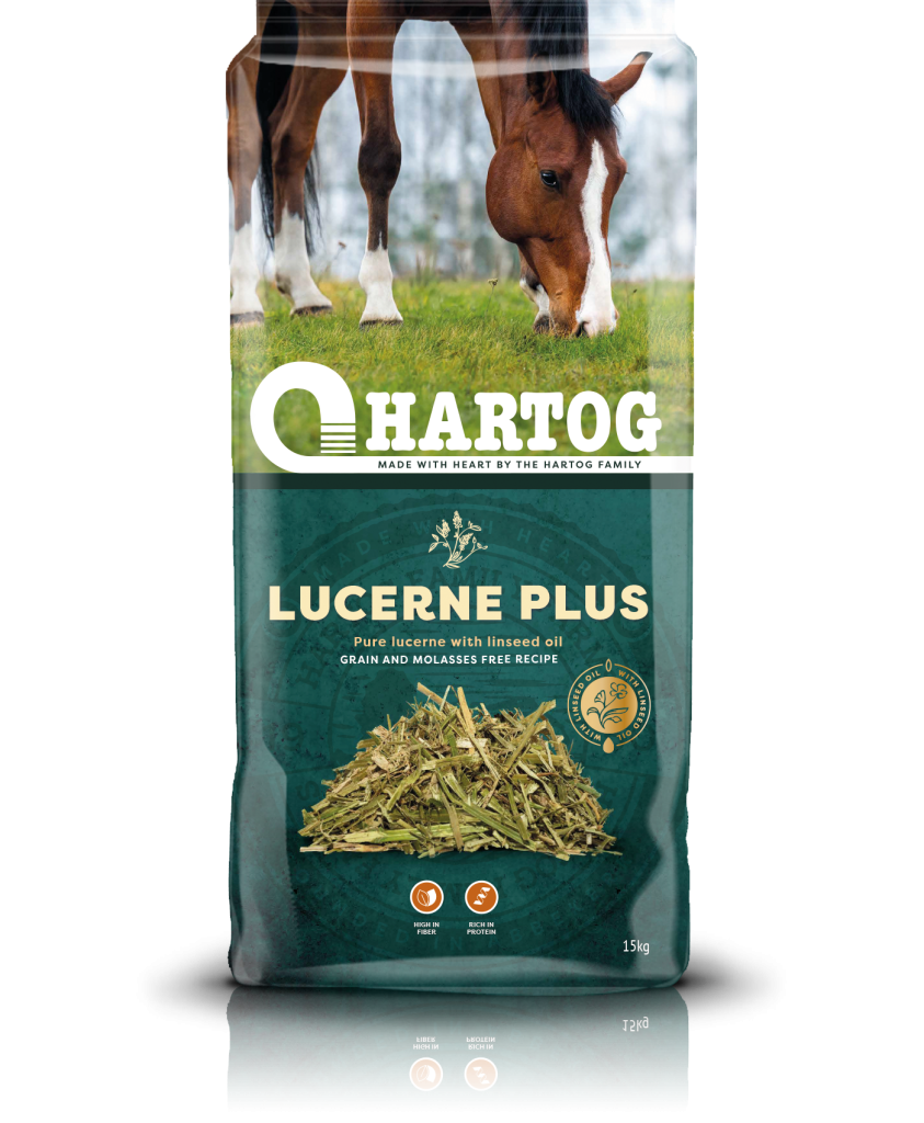 Hartog Lucerne Plus horse feed bag with a horse in the background