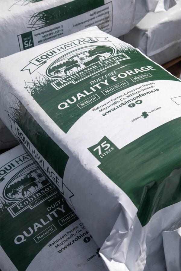 Robinson Equihaylage