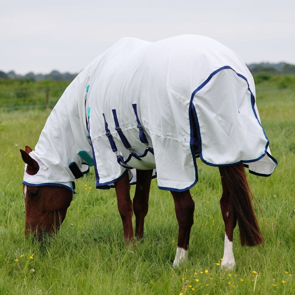 A horse wearing a white sweet itch combo rug with blue trim, providing protection against insects and UV rays while grazing.