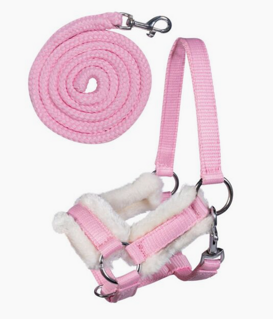 HKM Hobby Horse Headcollar & Lead