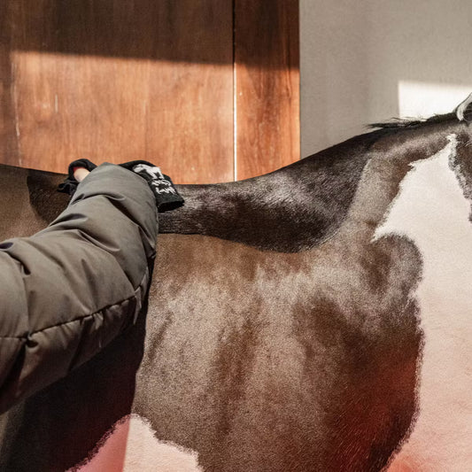 Person petting a horse's neck indoors with wooden paneling in the background
