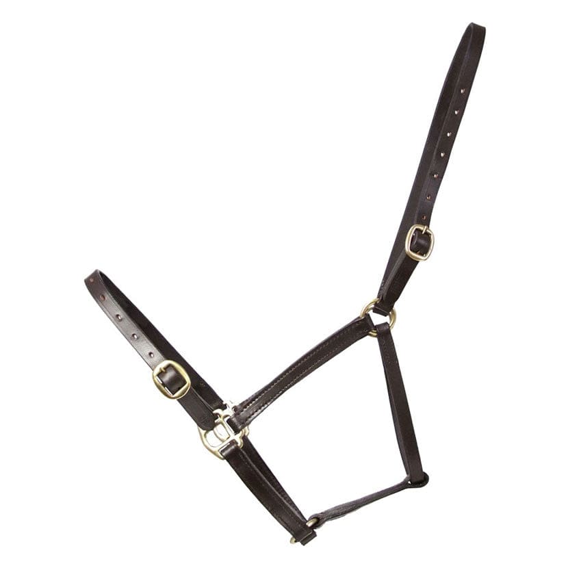 Boomerang Equestrian - Hy Leather Foal Headcollar Brown