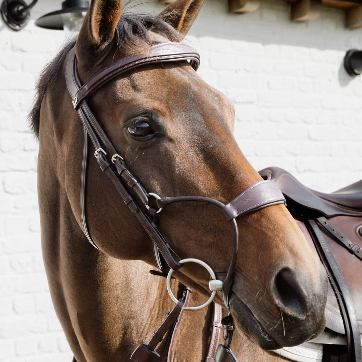 Brown horse wearing a bridle and saddle against a white brick wall.