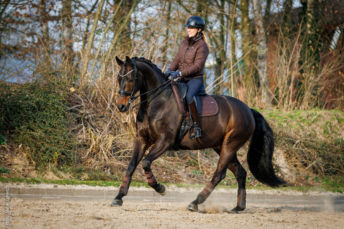 A dark brown horse with a rider in equestrian attire, including a helmet, brown jacket, and breeches, riding in a sandy outdoor arena with trees in the background.