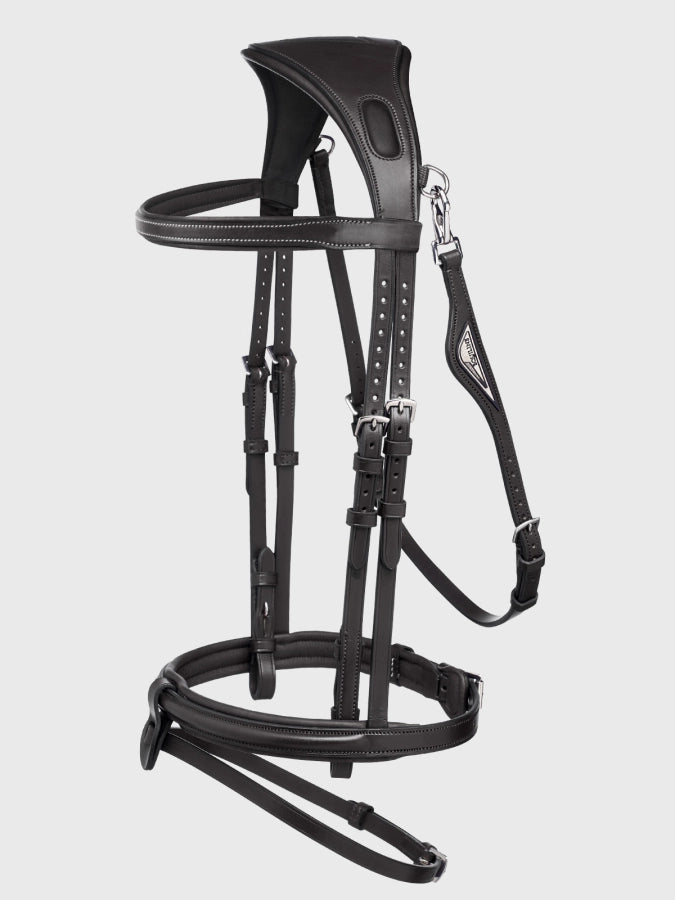 Black horse bridle on a white background