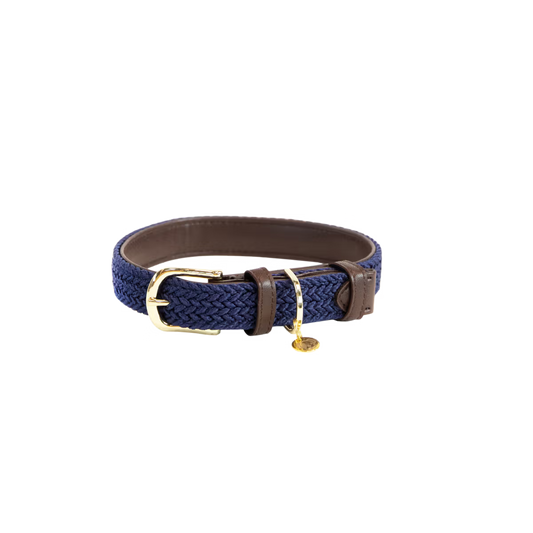 Navy blue braided dog collar with a gold buckle on a white background