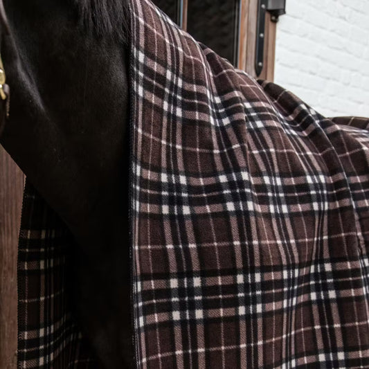 Horse wearing a brown plaid blanket with a stable in the background