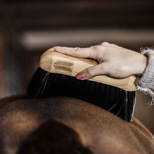 Boomerang Equestrian - Kentucky Grooming Deluxe Body Brush Middle Hard