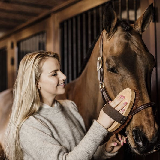 Boomerang Equestrian - Kentucky Grooming Deluxe Overall Brush Soft