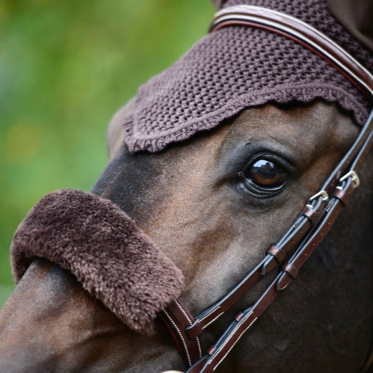 Close-up of a horse's head wearing a brown bridle and protective hood.