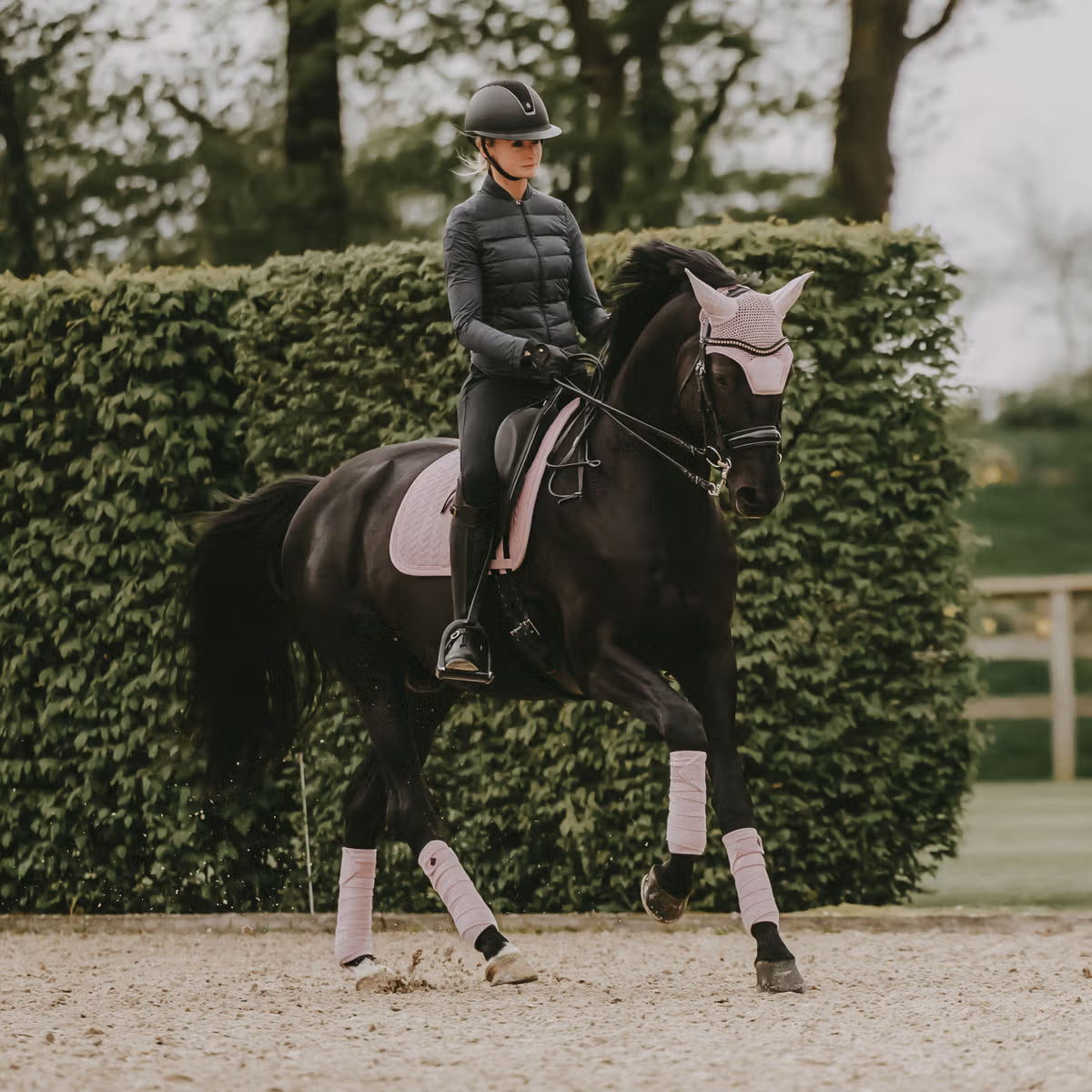 Person riding a horse in an outdoor equestrian setting with greenery.