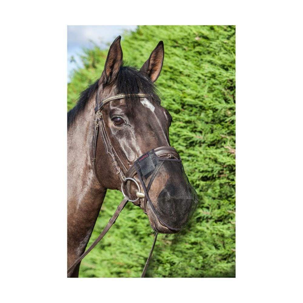 Boomerang Equestrian - LeMieux Comfort Shield Nose Filter