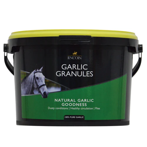 Garlic Granules in a tub on a white background