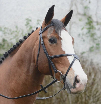 Horse wearing a black bridle with nature in the background