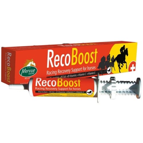 Boomerang Equestrian - Mervue Recoboost Syringe