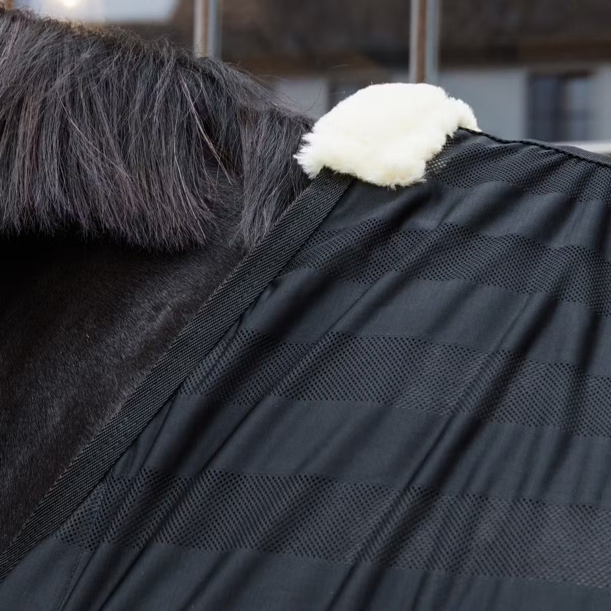 Close-up of a textured black fabric surface with a white fluffy object on top.