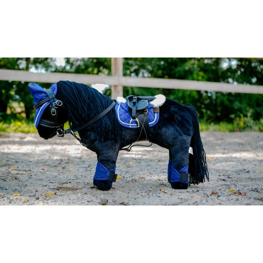 Horse wearing a blue blanket and boots in an outdoor setting