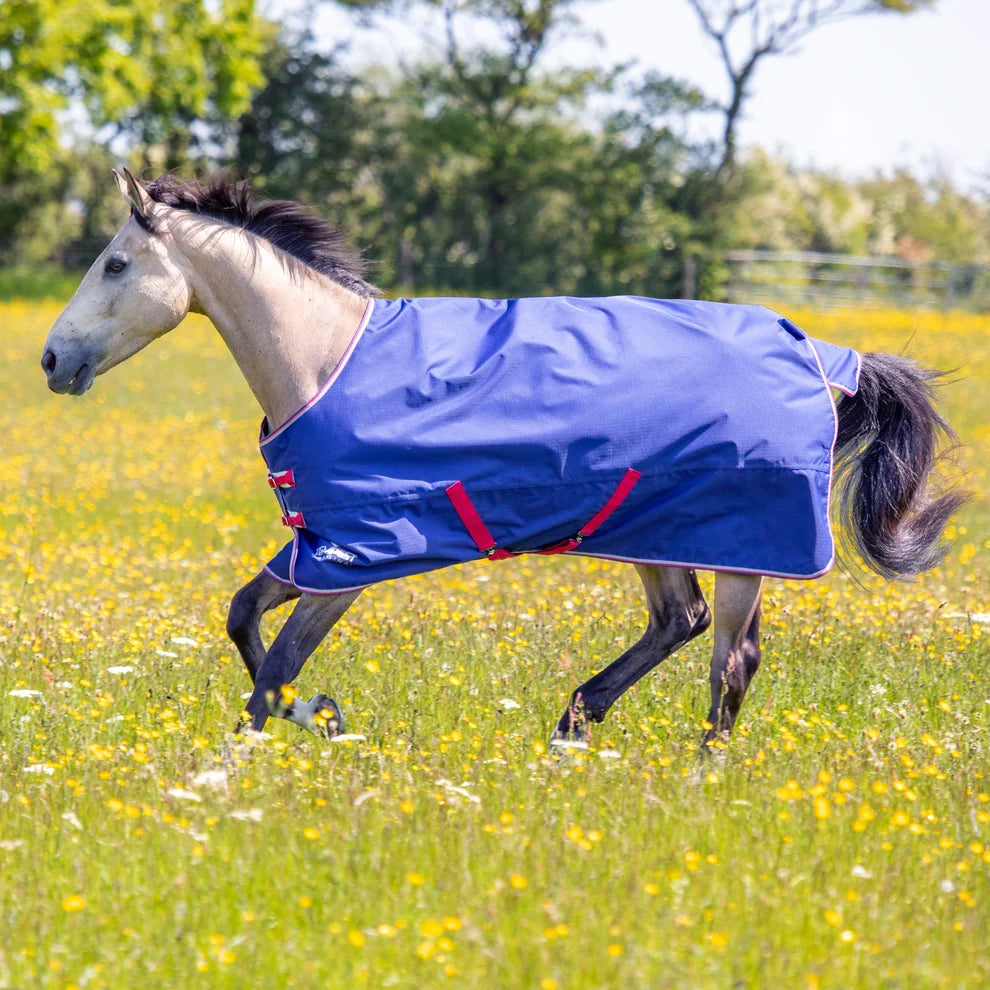A light-colored horse running through a grassy field of yellow wildflowers, wearing a blue horse blanket with red straps and trim.