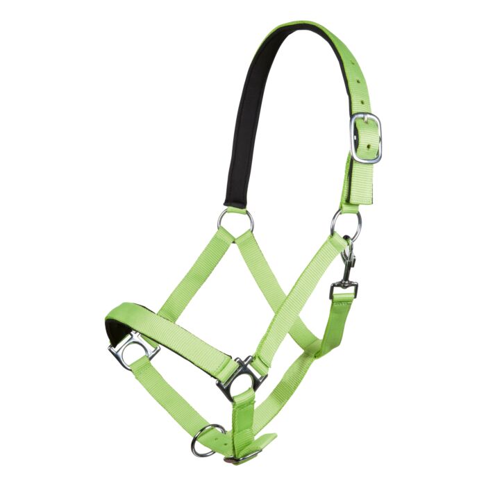 Green horse halter with black straps on a white background