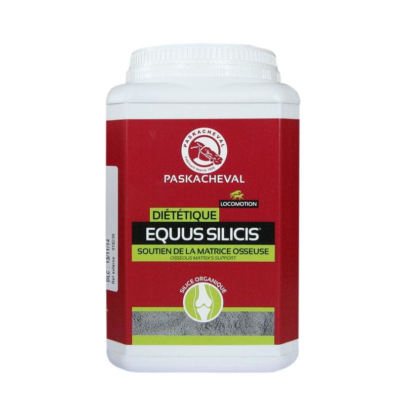 Boomerang Equestrian - Paskacheval Equus Silicis