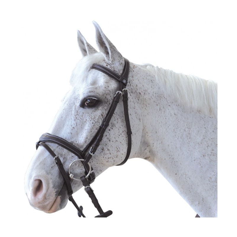 Boomerang Equestrian - Privilege Equitation Canter Ornella Flash Snaffle Bridle Black