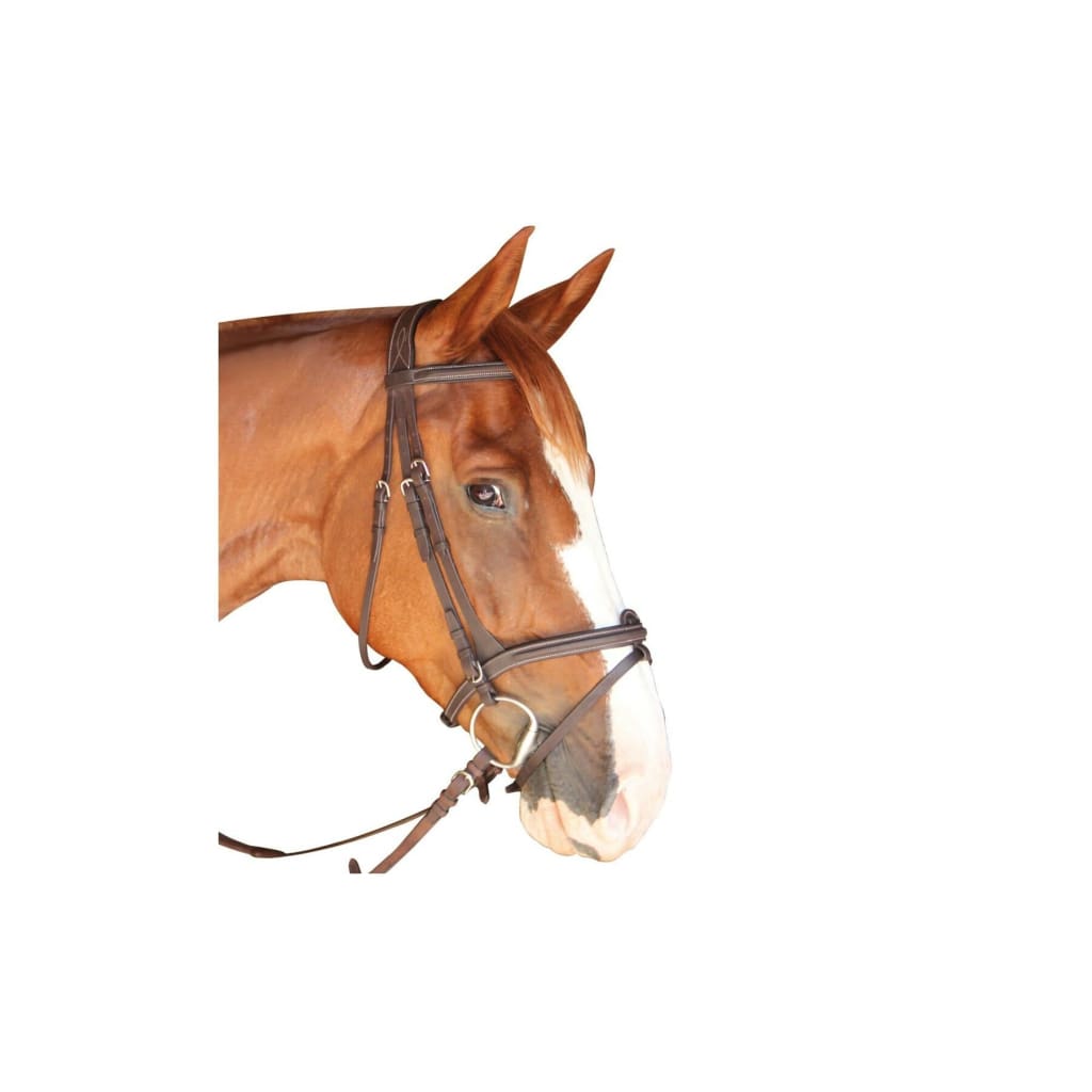 Boomerang Equestrian - Privilege Equitation Dinard Bridle Brown
