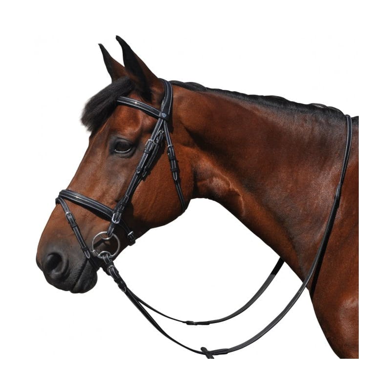 Boomerang Equestrian - Privilege Equitation Flags & Cups Helsinki Bridle Brown