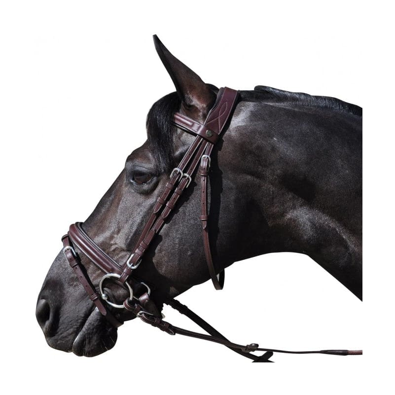 Boomerang Equestrian - Privilege Equitation Flags & Cups Hickstead Bridle Brown