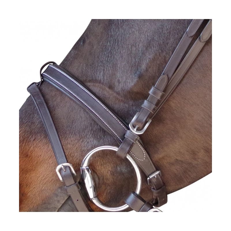Boomerang Equestrian - Privilege Equitation Chetak Flat & Padded Bridle Brown