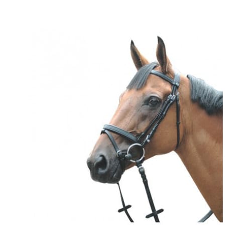 Boomerang Equestrian - Privilege Equitation La Baule Combine Flash Bridle Black