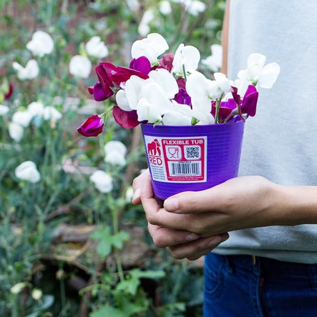 Boomerang Equestrian - Red Gorilla Micro Tubtrug