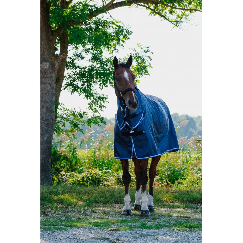 Horse wearing a blue rug standing in a natural setting with trees and greenery.